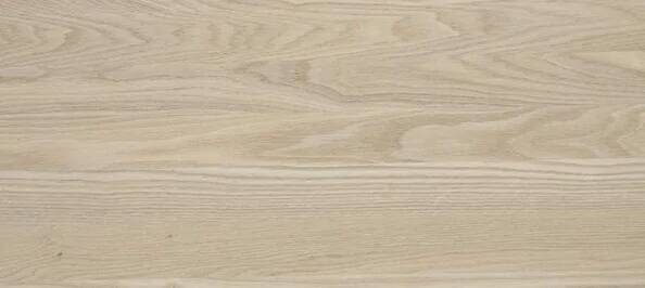 Дуб Дальневосточный